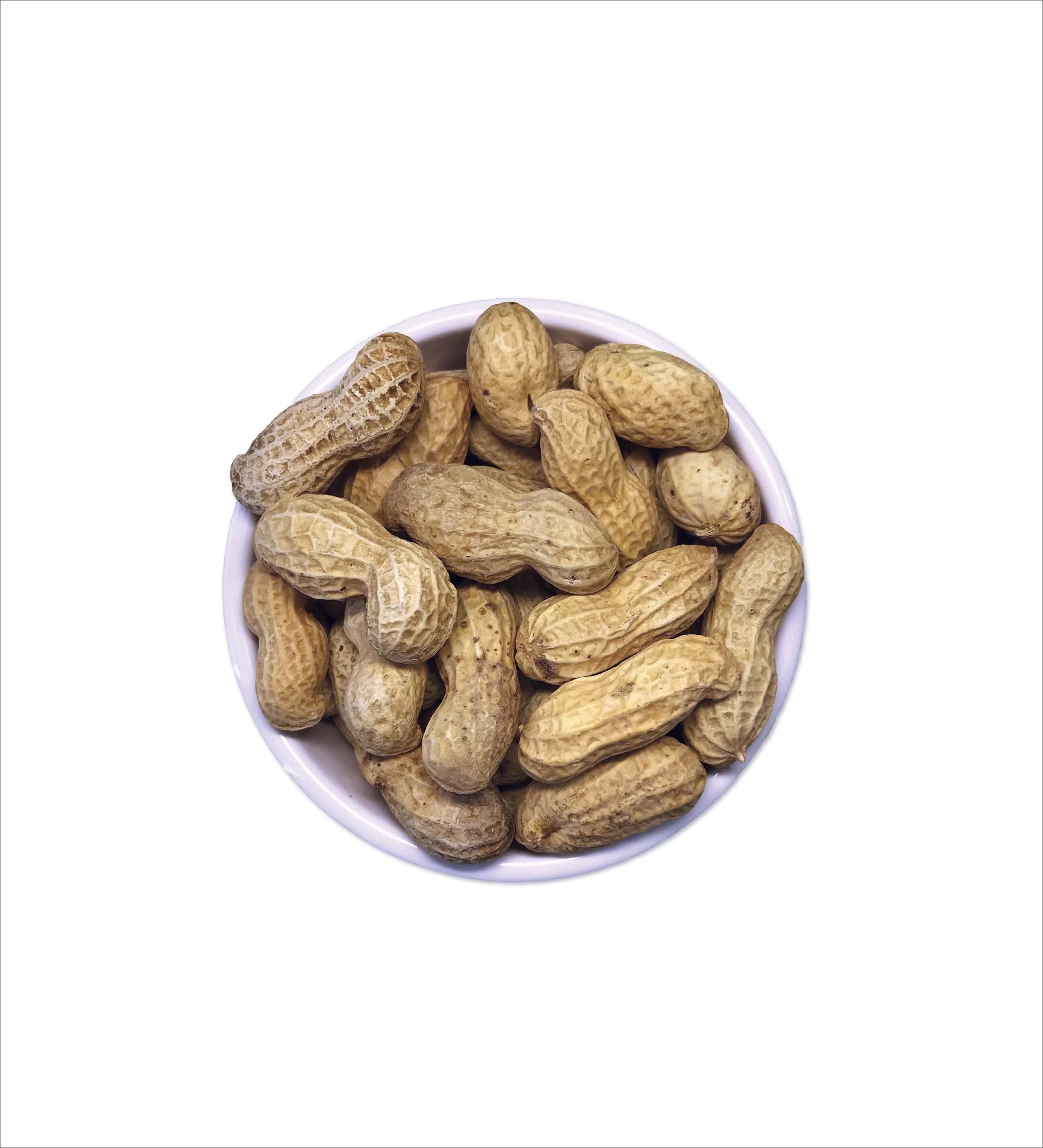 Product Thumbnail Image
